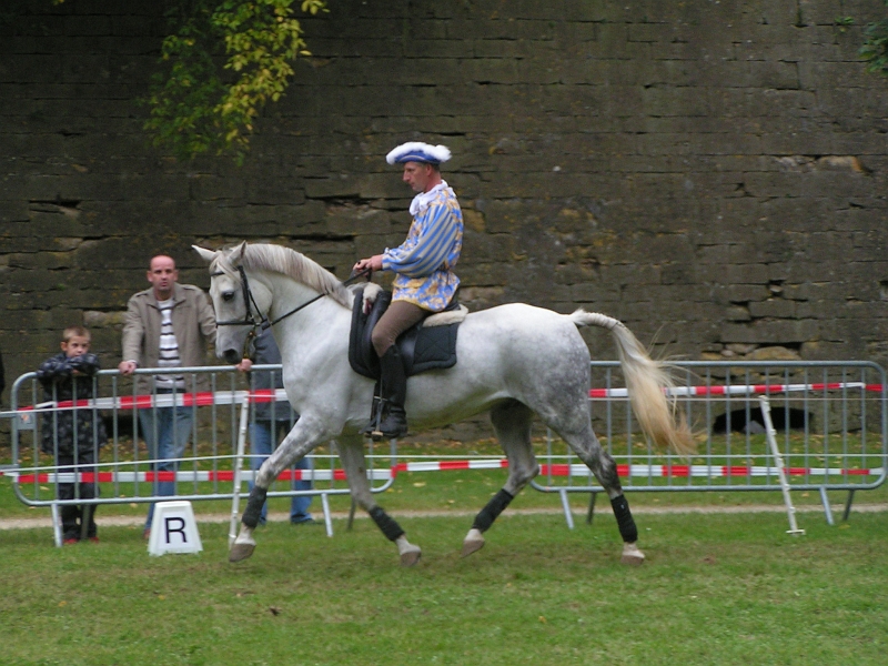 REMPARTS LONGWY 2008 295.jpg